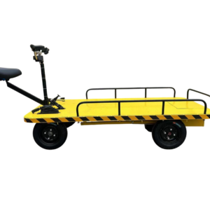 Plataforma el&eacute;ctrica de carga (800 kg) 1m x 2m